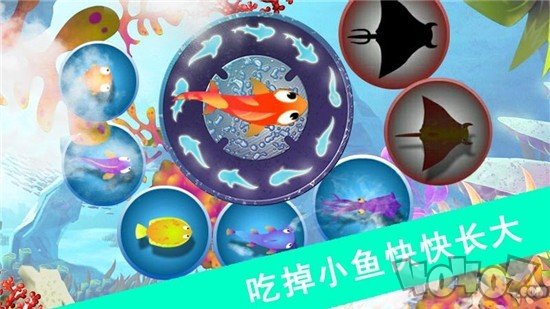 鲨鱼风暴