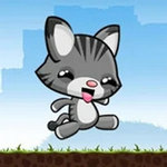 猫咪回家