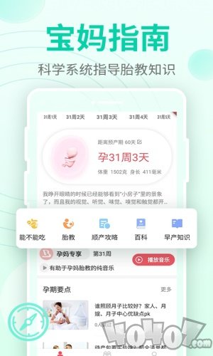 豹造孕育