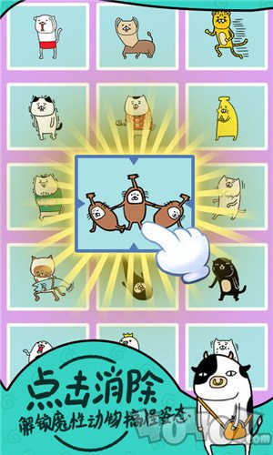 熊猫和狗狗狗真可爱