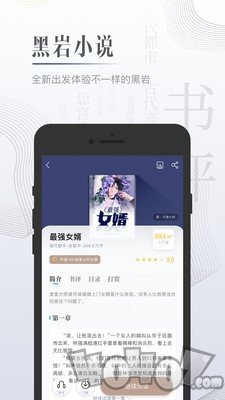 黑岩小说