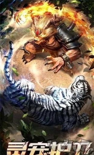 新开闲云斩魂诀传奇