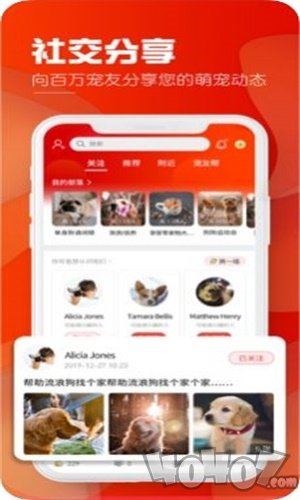 犬易