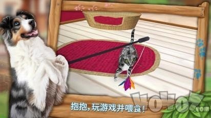 我的动物寄养所
