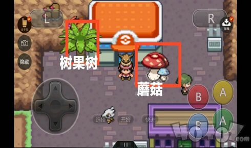 口袋妖怪去吧伊布3.0金手指