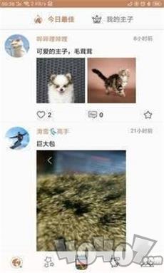 主子唠