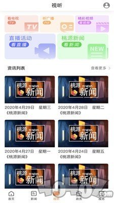 视外桃源