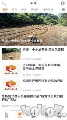 视外桃源
