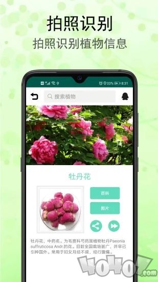 识花草