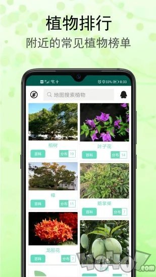 识花草