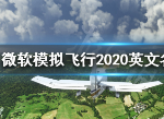 微软模拟飞行2020英文名 微软模拟飞行2020英文版名称