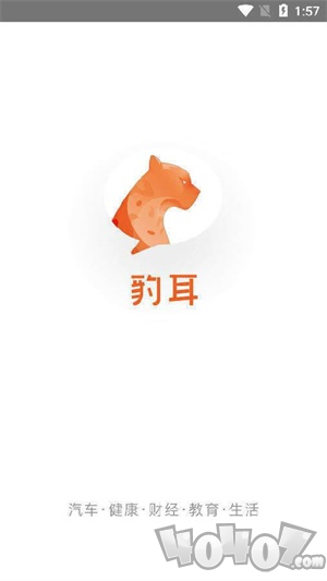 豹耳