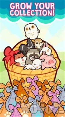 融合草地