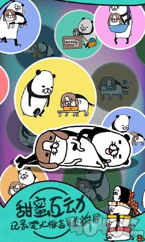 熊猫和狗狗狗真得好可爱呀