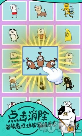 熊猫和狗狗狗真得好可爱呀