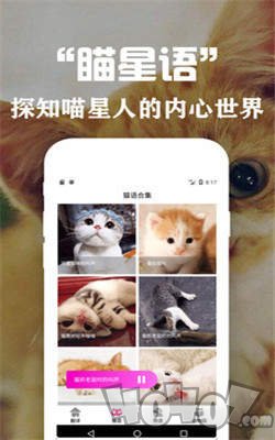 狗语翻译交流器