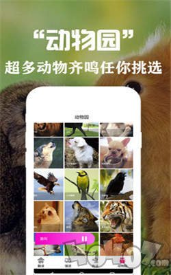 狗语翻译交流器