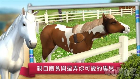 骑马越障比赛