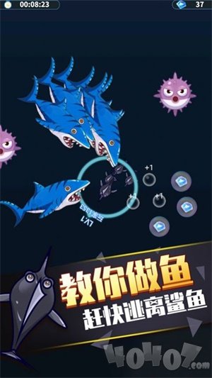 开局一条鱼