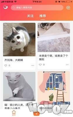 团纸日记