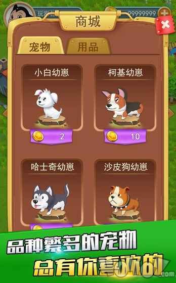 奇妙牧场
