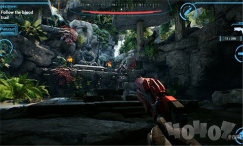 鲸鱼座T星未知起源