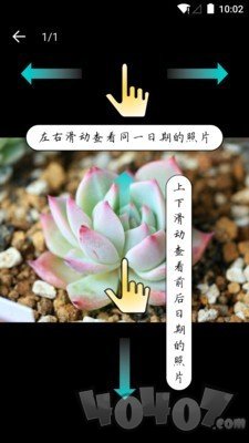 多肉成长记