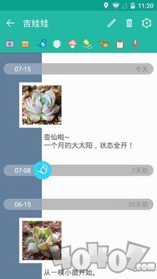 多肉成长记