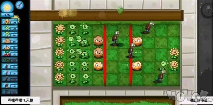宅宅萝卜植物大战僵尸联机版