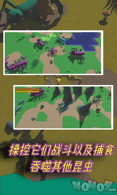 昆虫进化模拟器