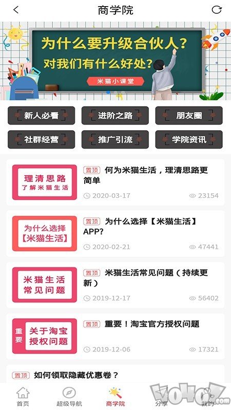 米猫生活
