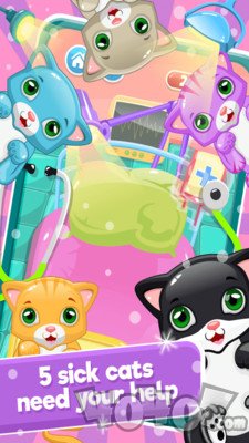 猫咪护理诊所