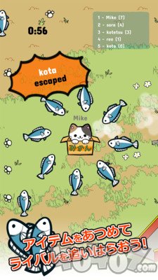 公园里的野猫