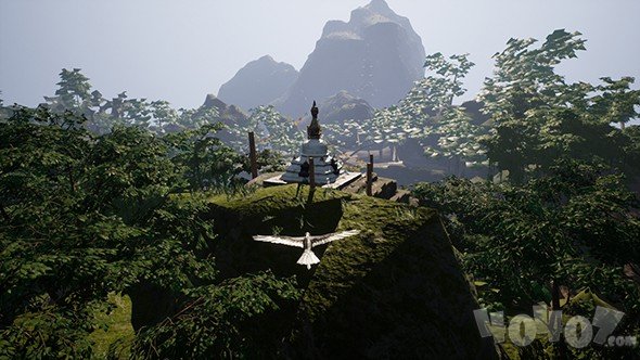 飞行