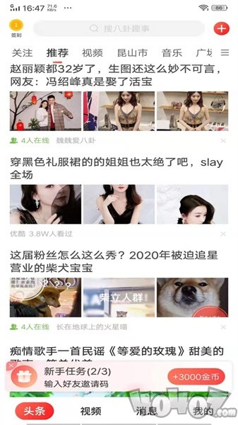 微鲤看点