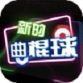 新的曲棍球