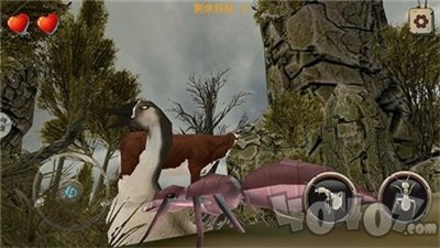 解救星际小蚂蚁