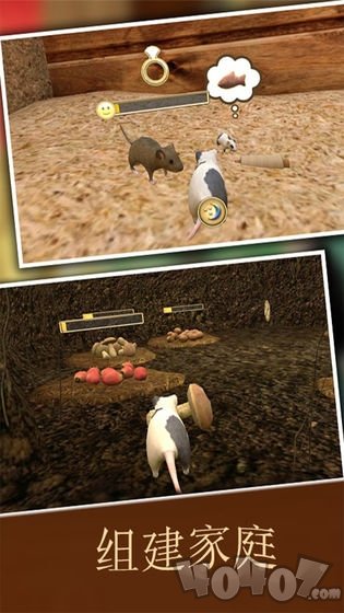 疯狂地鼠3d模拟