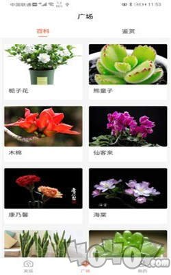 识花神器