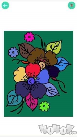 植物填色画画