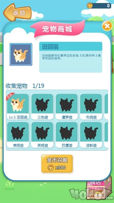美食连连看