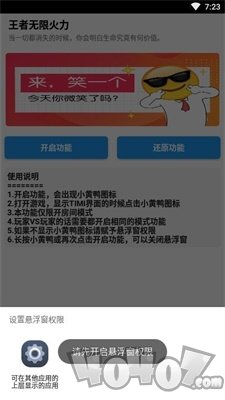 小黄鸭修改器王者