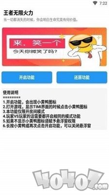 小黄鸭修改器王者
