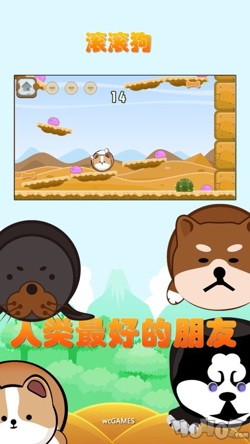 滚滚狗狗