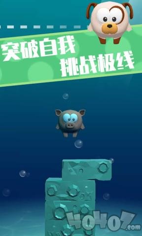 我不叫猪头三