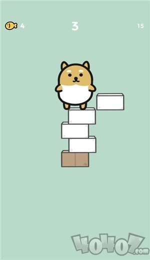 砰砰猫