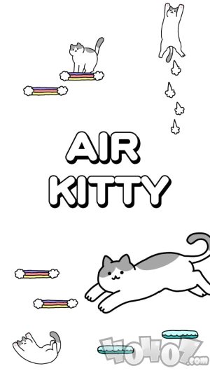 空中猫咪