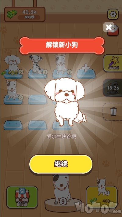幸运的小狗