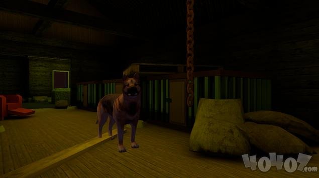 Mr Dog