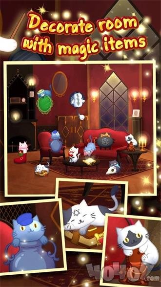 猫屋魔法猫